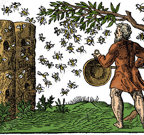 Bijen (in de oudheid). Leo van Zanen en Menno Reemer in Matilo (zondag 14 april 2024)