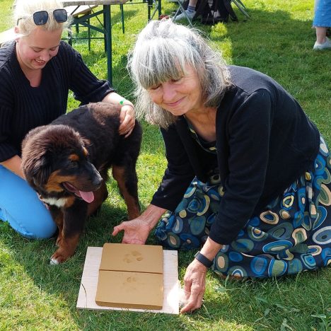 Festival ‘Dwaallicht’- ervaringstocht in de schemer