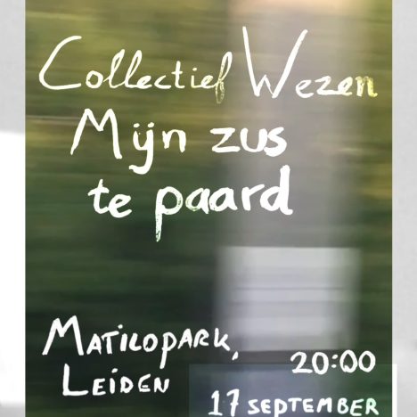 Tegel met pootafdruk ophalen