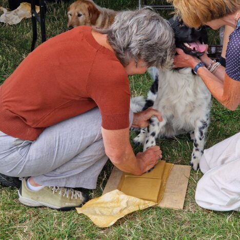 Terugblik op een Romeinse zomer: Buitenbeestfeest